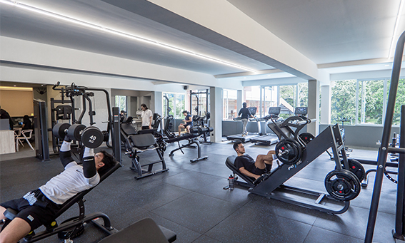 Gym